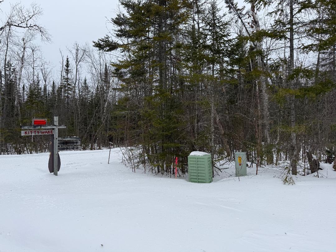 Image 1: Kittywake 1