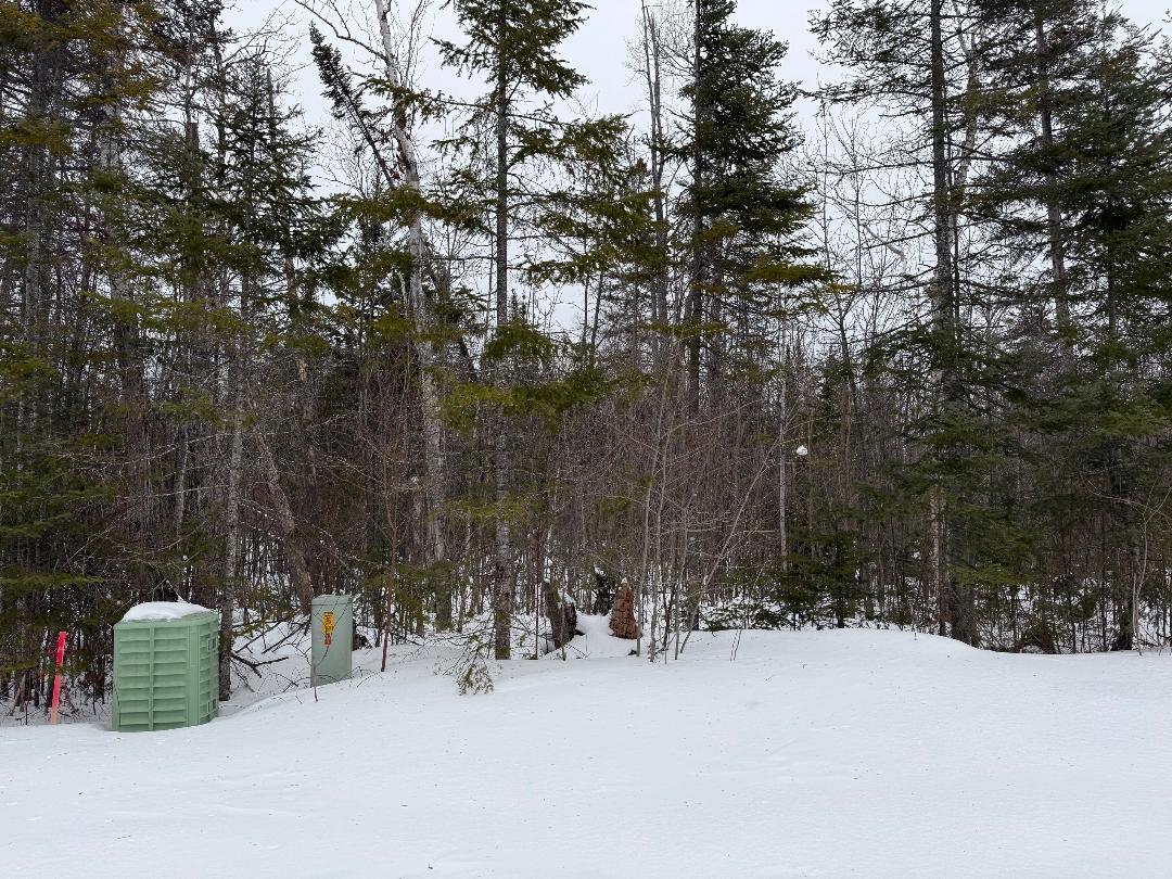 Image 3: Kittywake 2