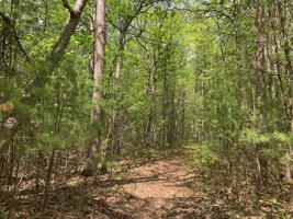 E Mullett Lake Road