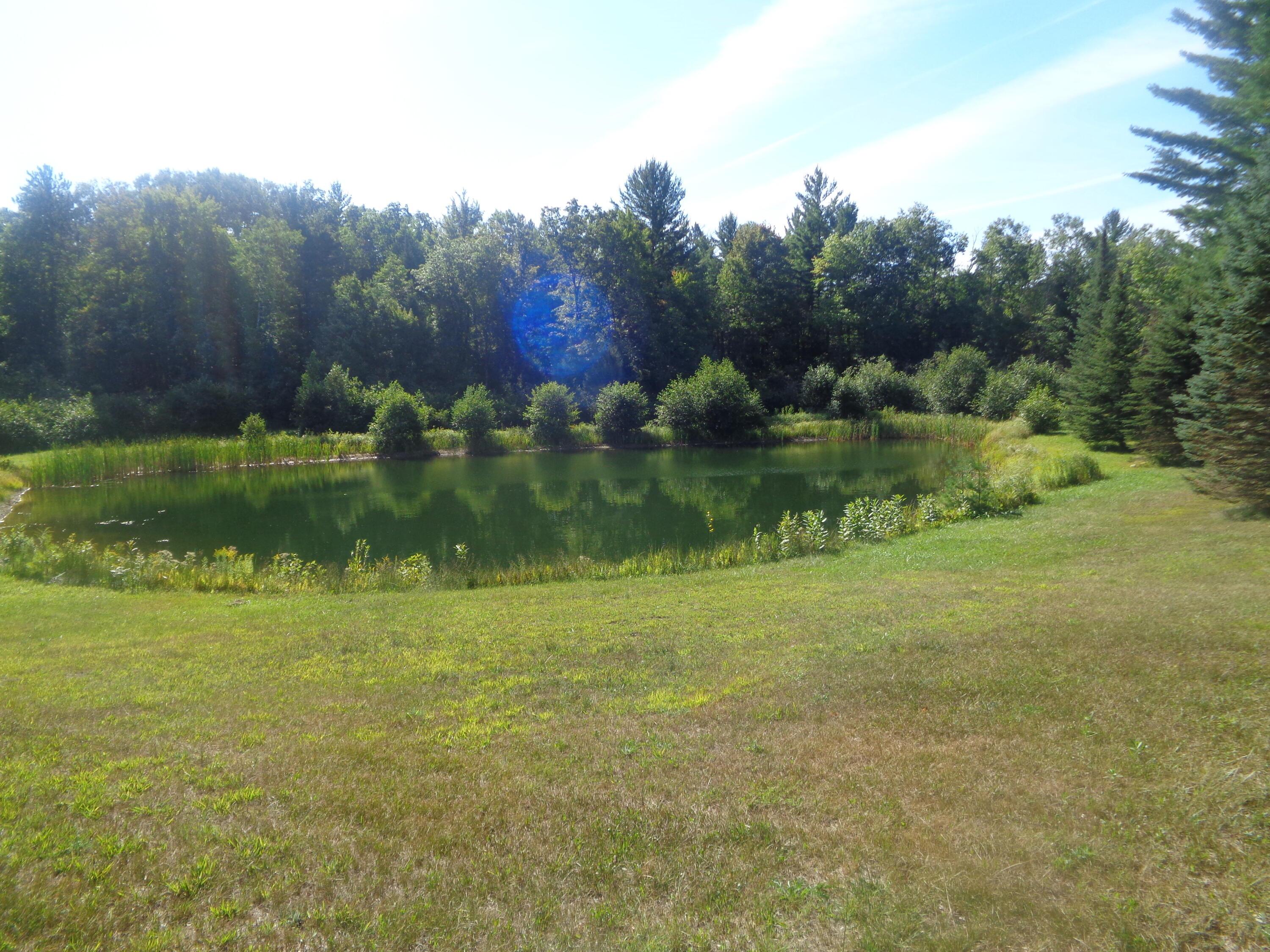 Image 4: DSC08146