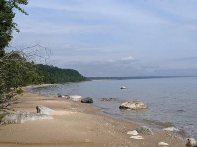 Lot 12 W Wildwood Lane