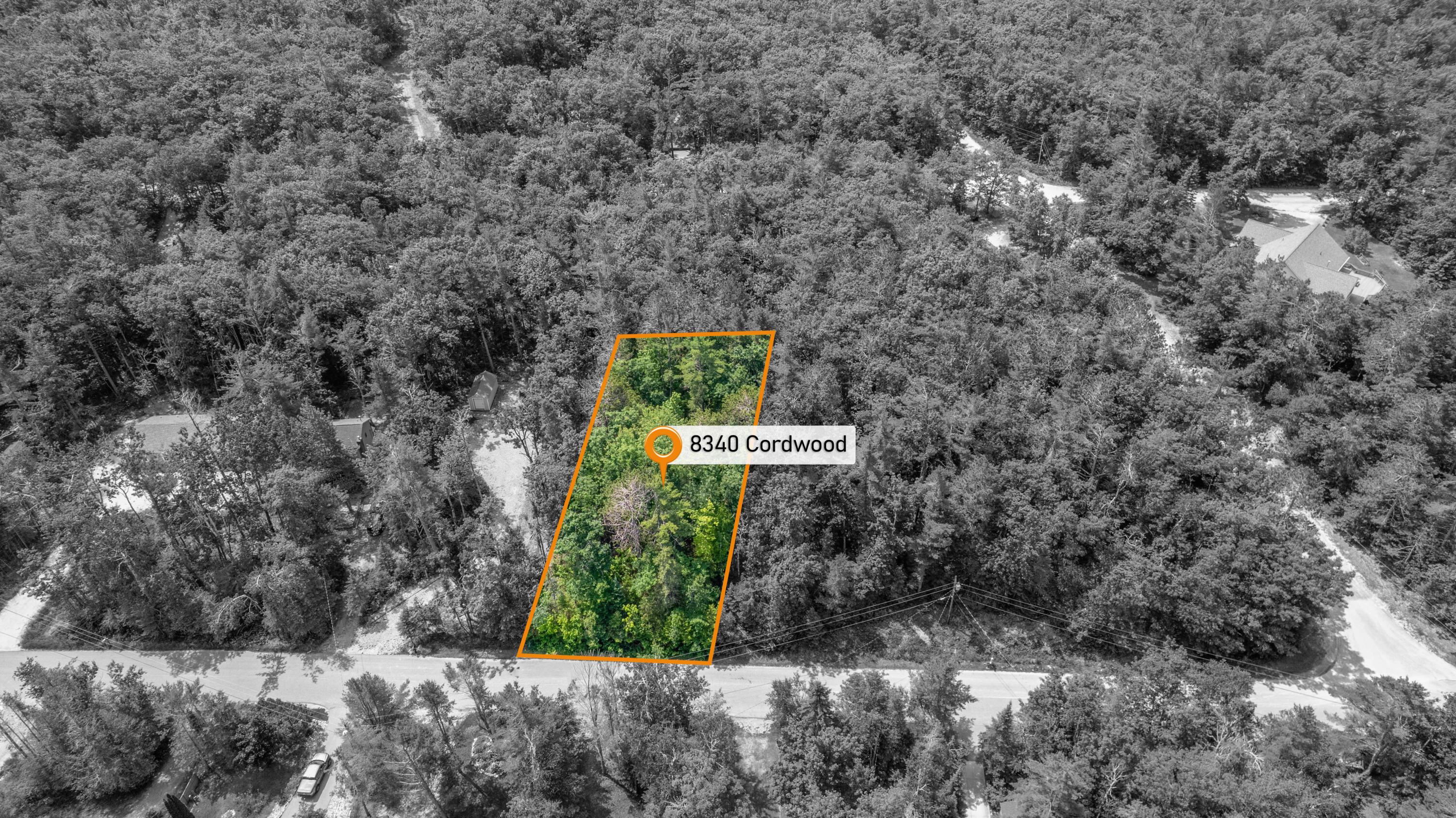 Image 3: DJI_0031 (1)