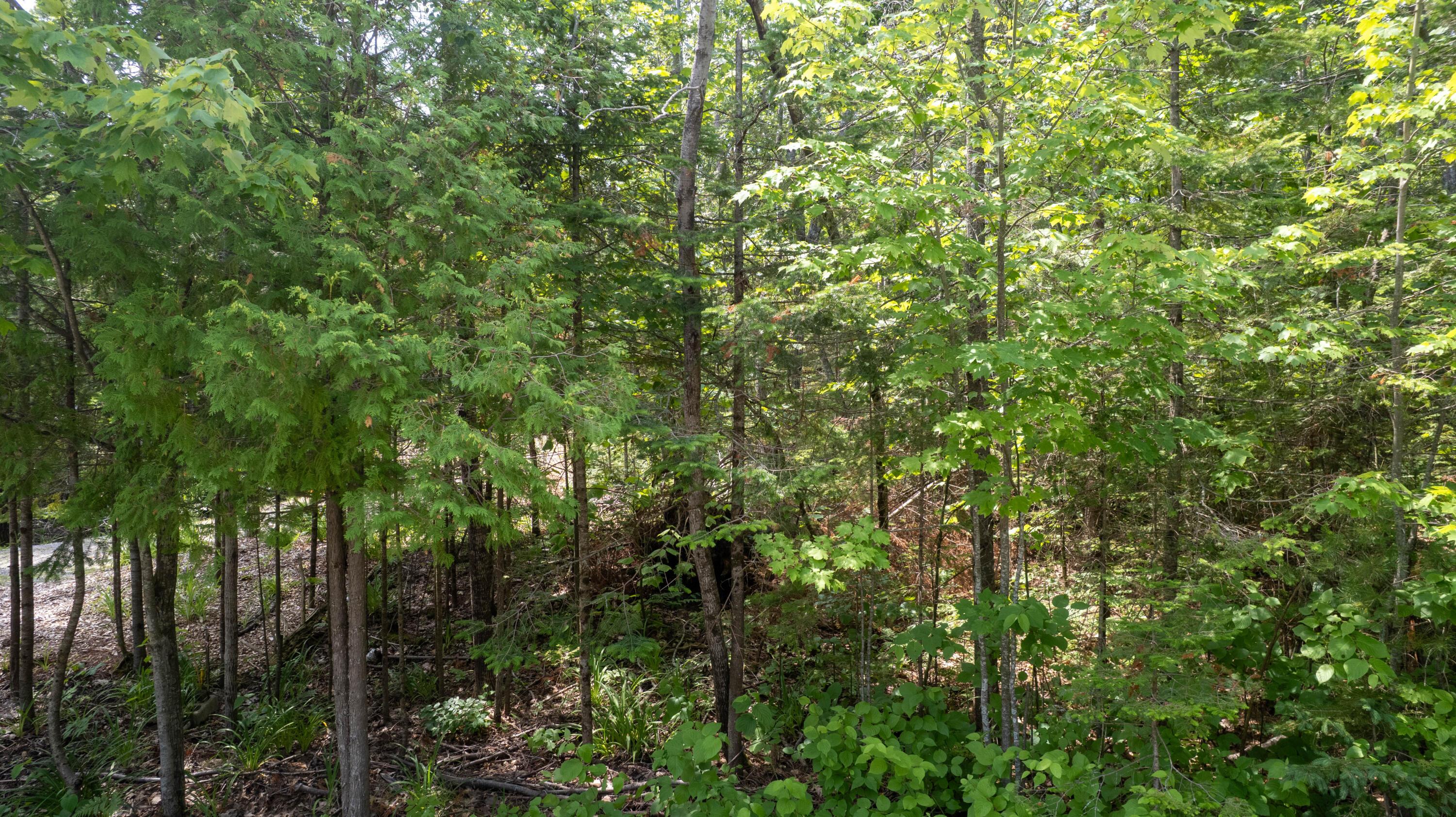 Image 4: DJI_0025