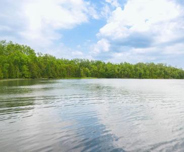Lot H Forest Drive