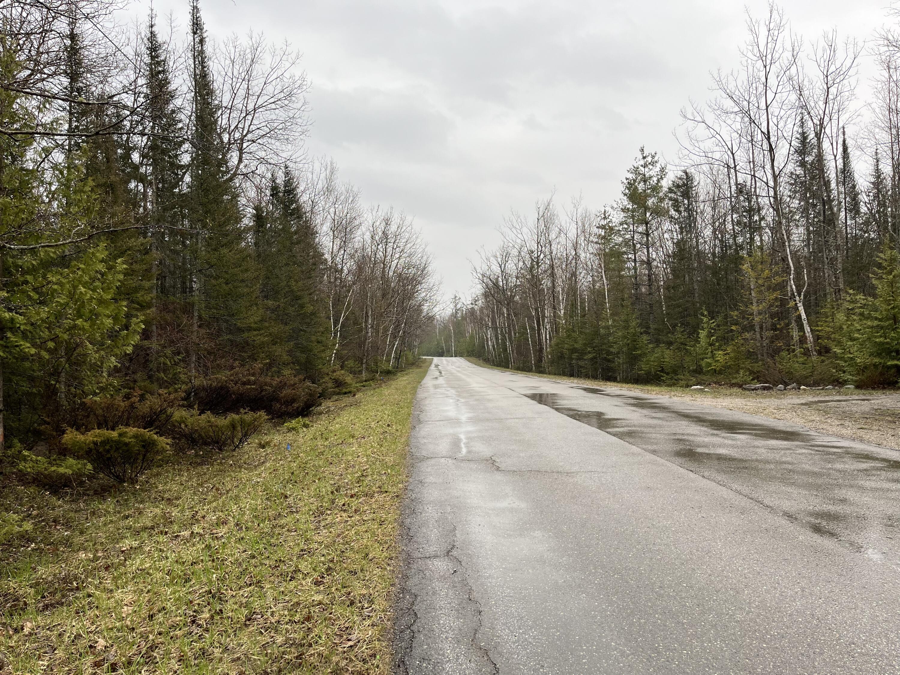 Image 3: Road View Facing SE