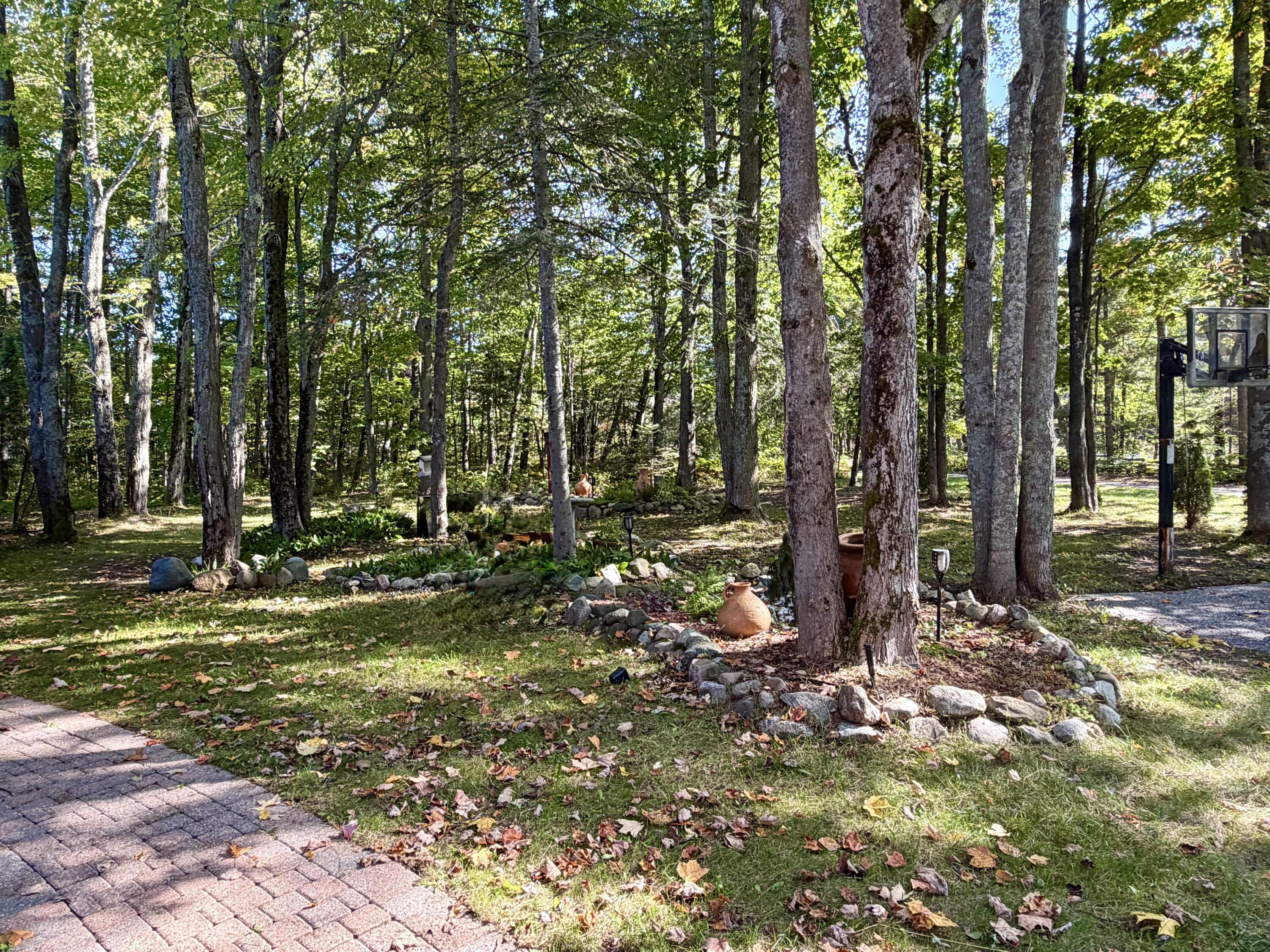 Image 2: Mature Trees