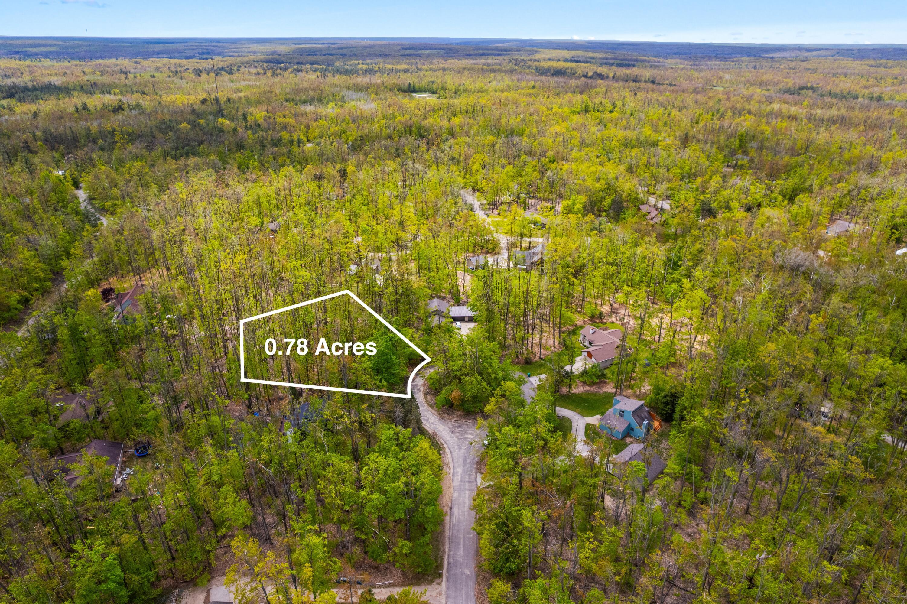 Image 3: Lot 369 Forest Park Trail