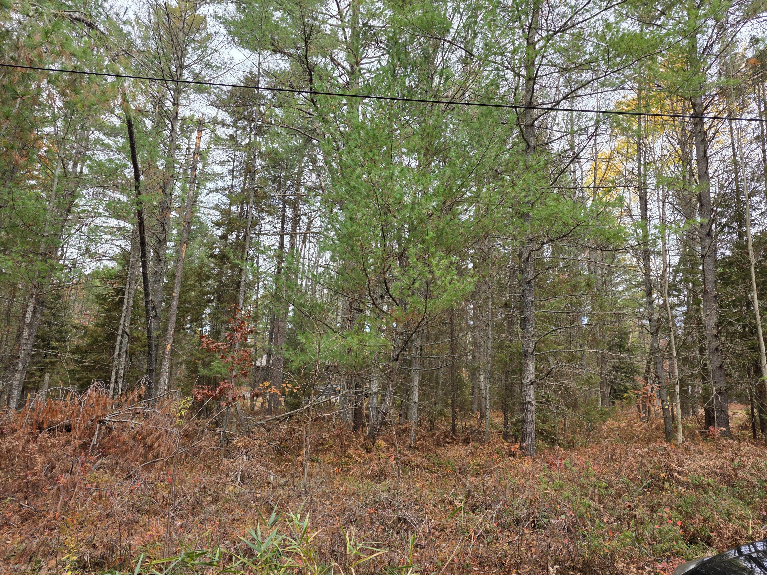 Image 4: 20251031_125413