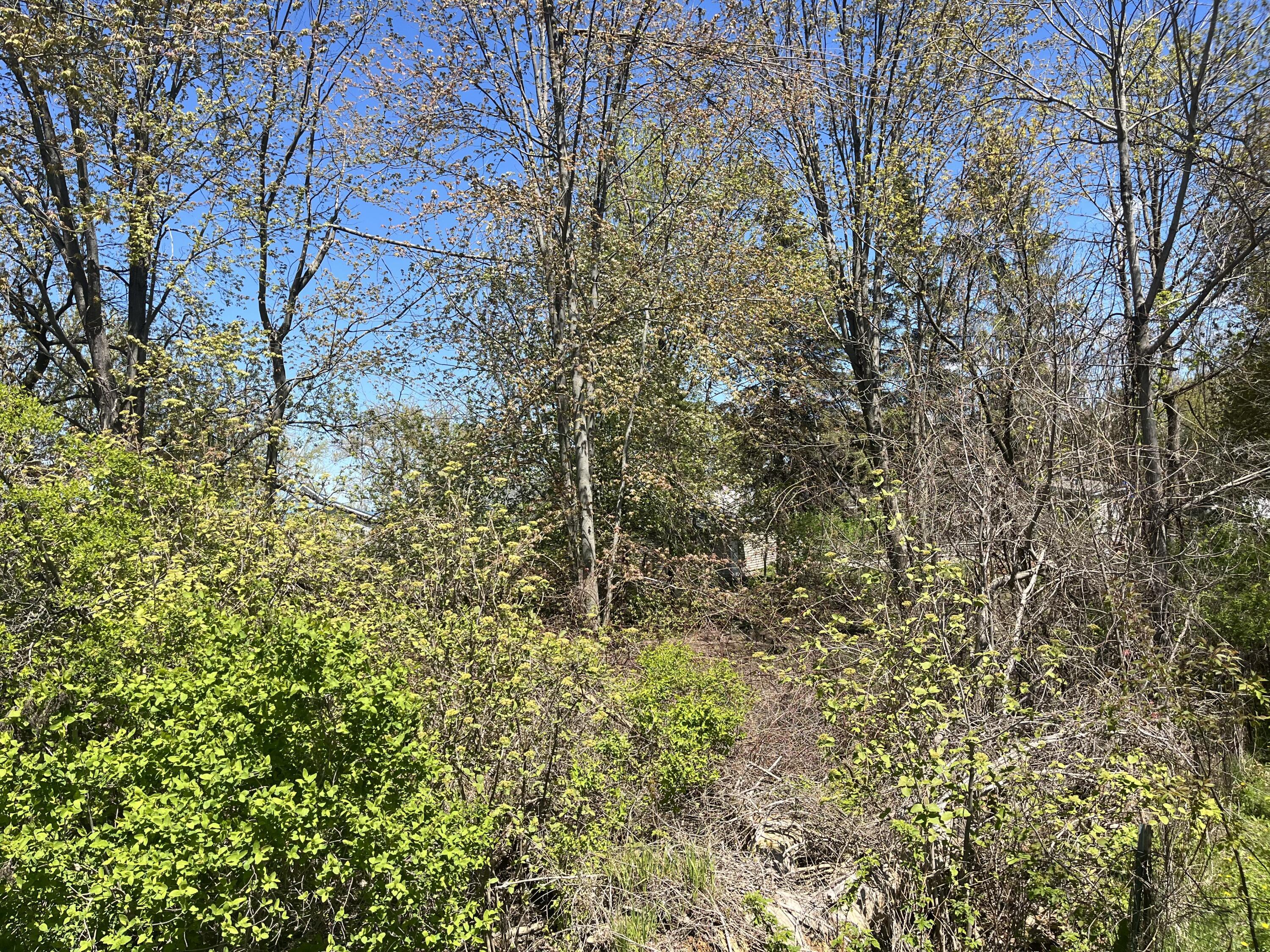Image 1: IMG_7612