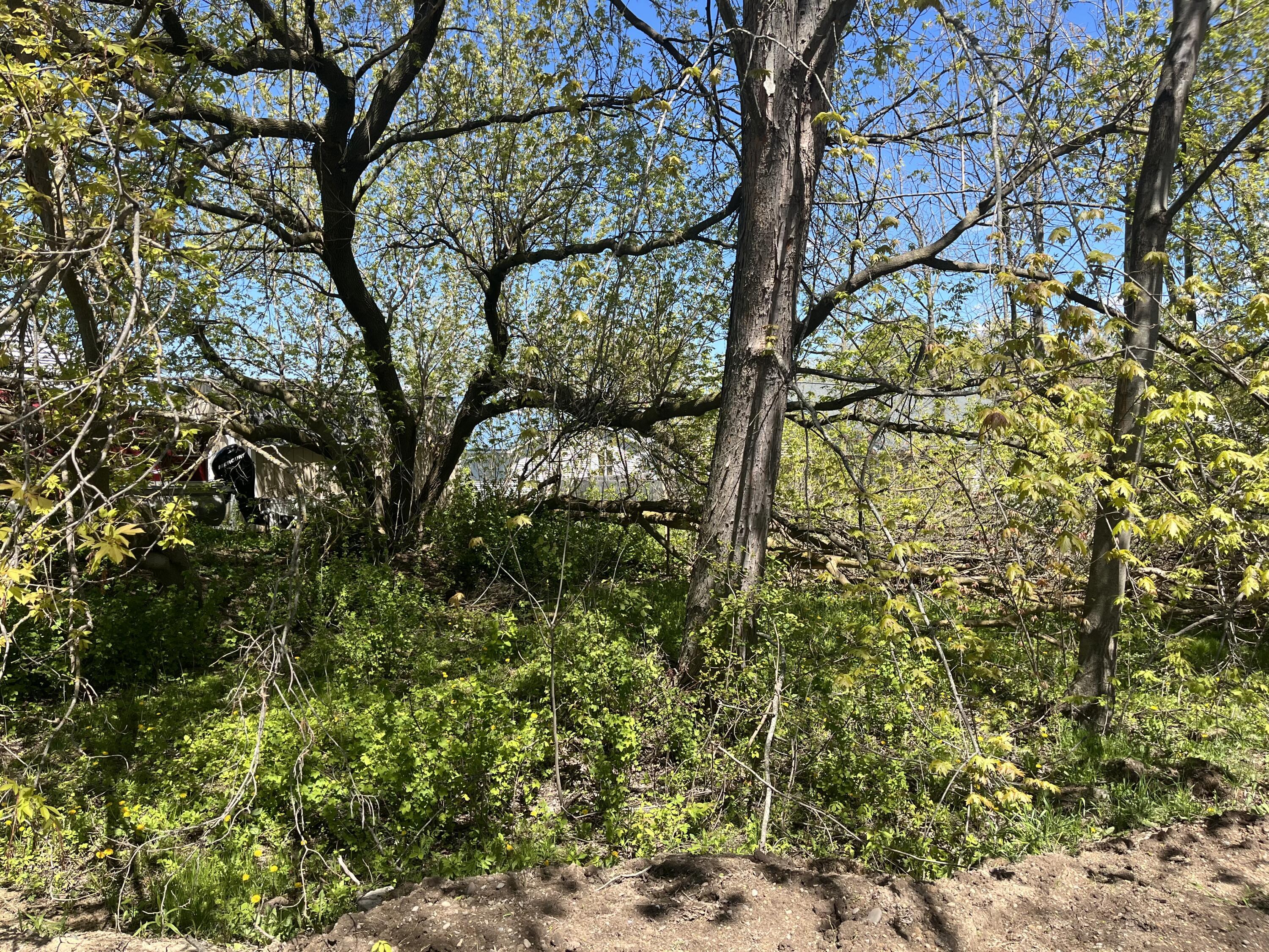 Image 3: IMG_7615