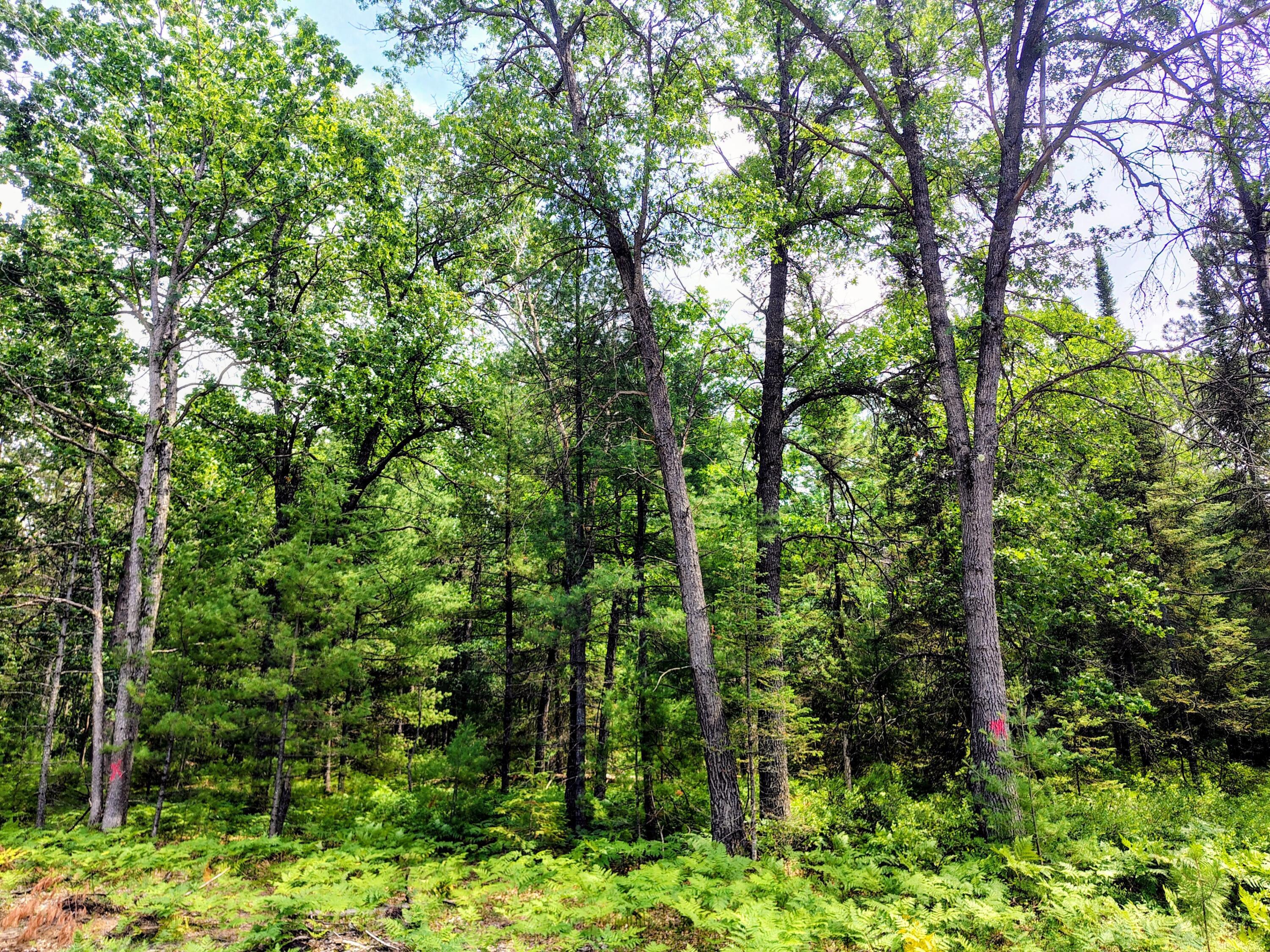 Image 3: IMG_20260702_144559612_HDR_AE~2