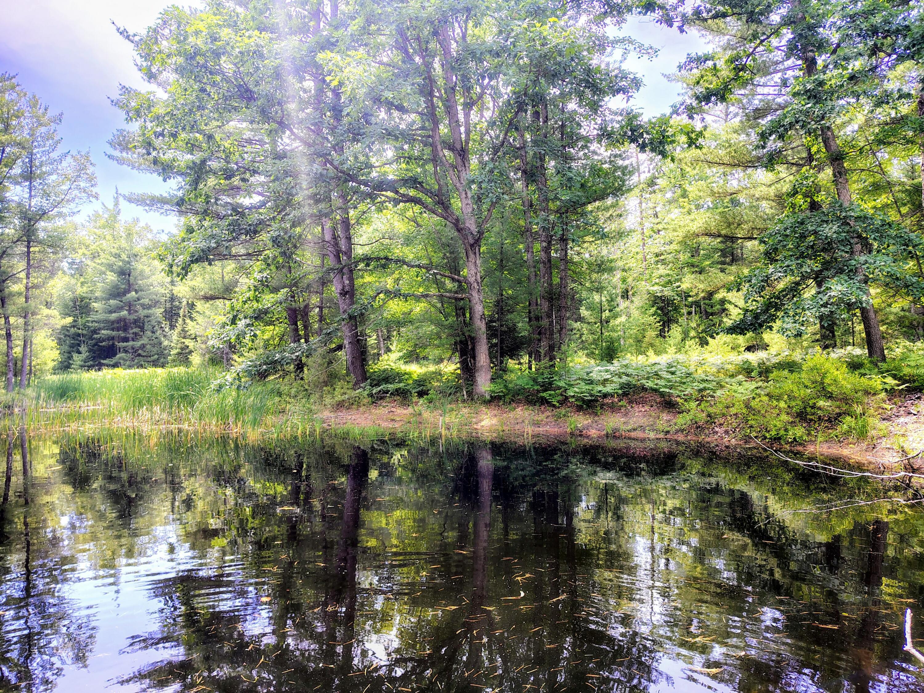 Image 4: IMG_20260702_144530157_HDR_AE~2