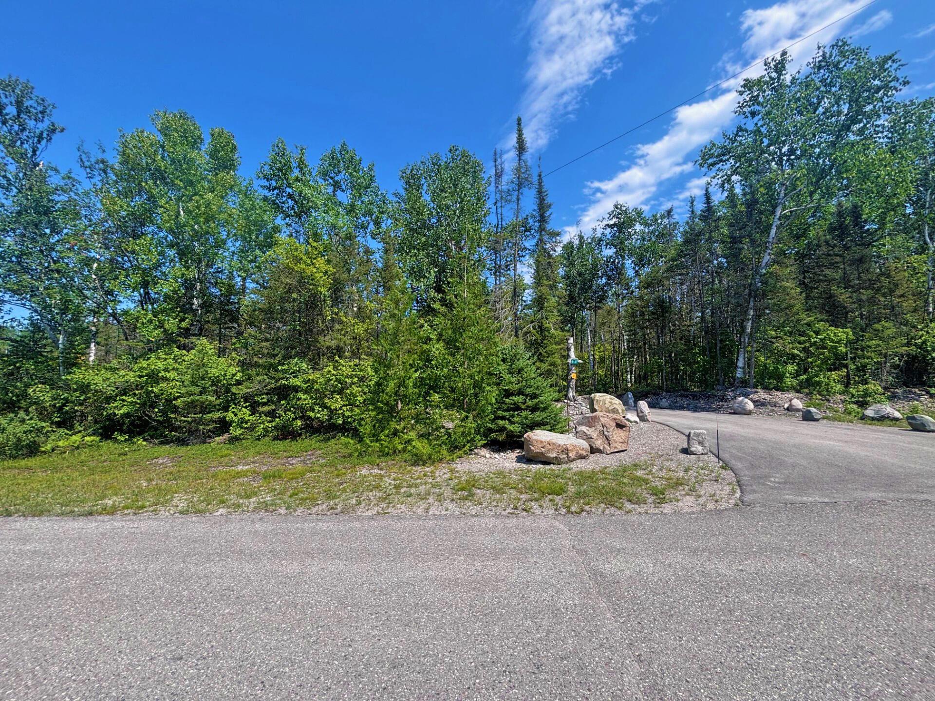 Image 3: Across the Street