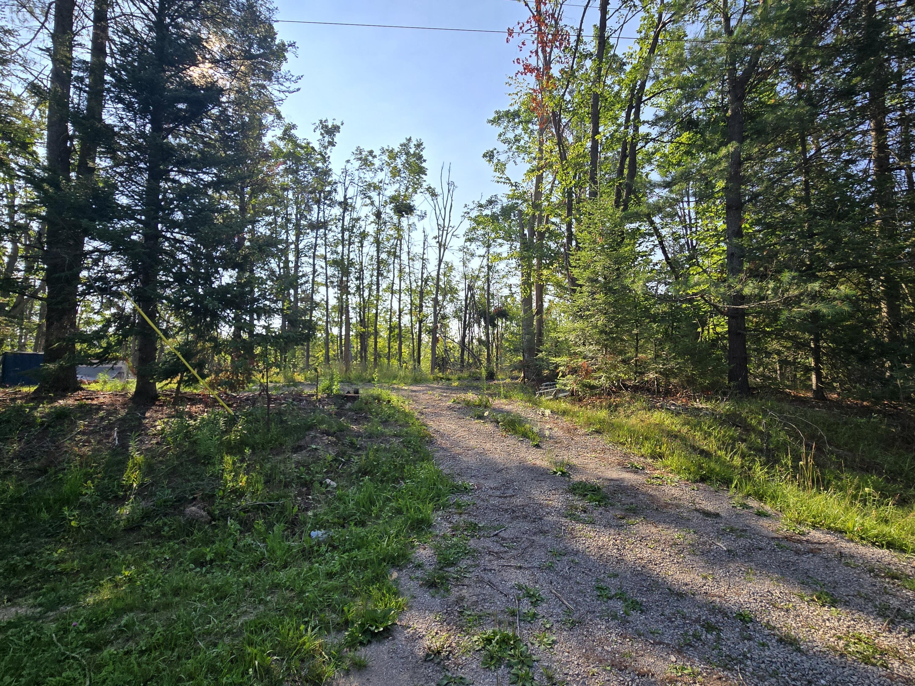 Image 3: Driveway Established
