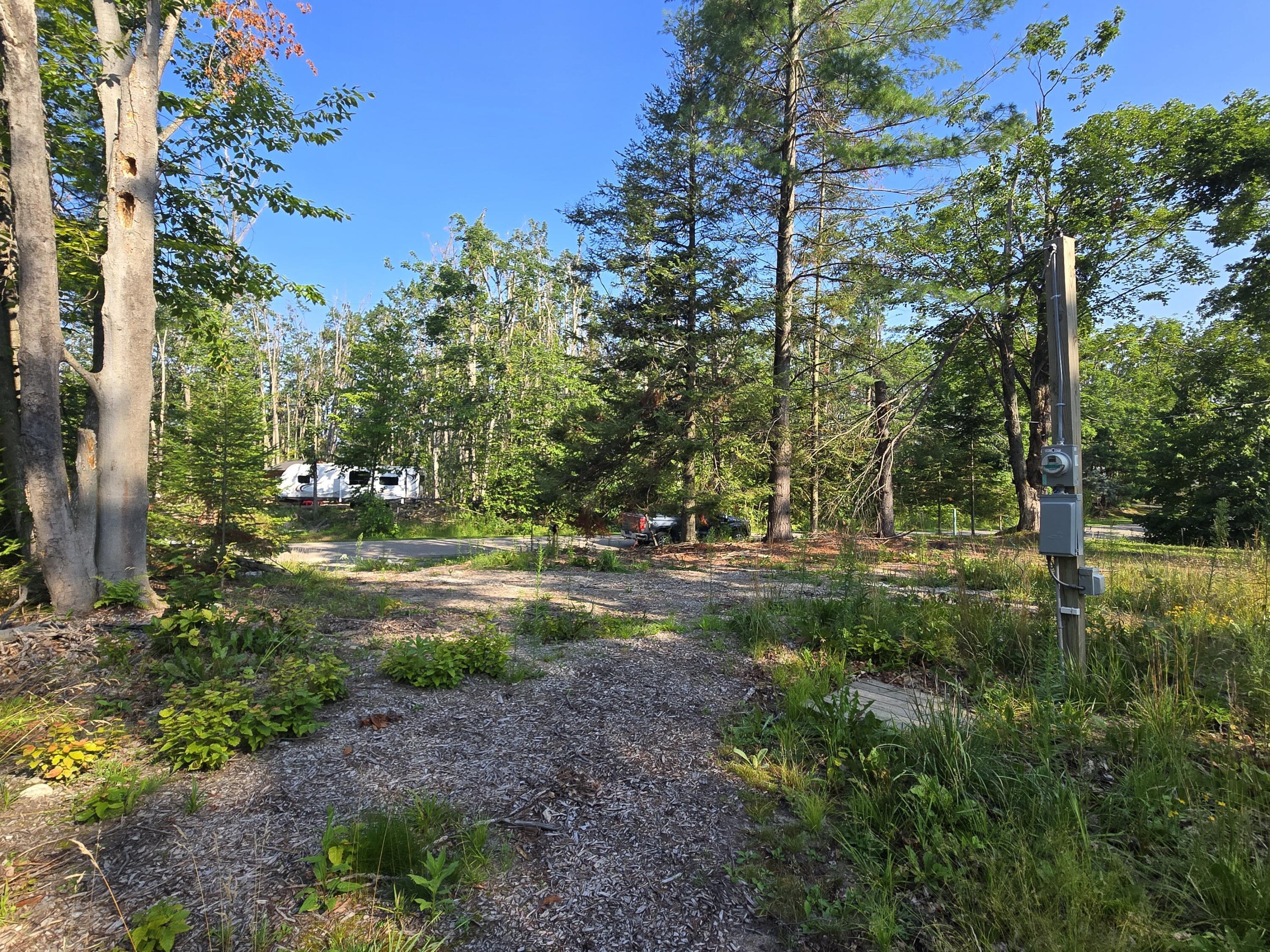 Image 4: Main Area Clear Cut