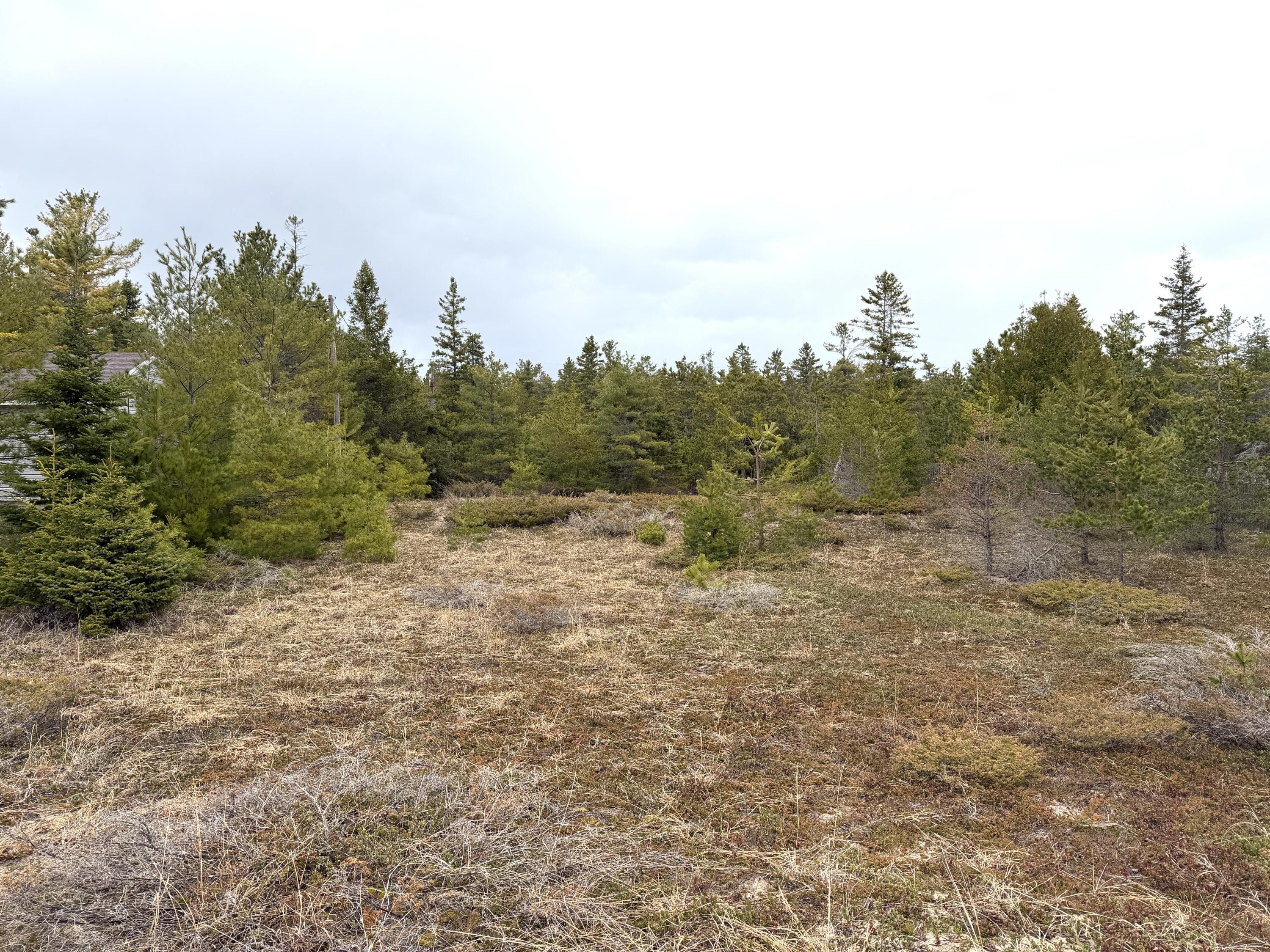 Image 3: IMG_3790