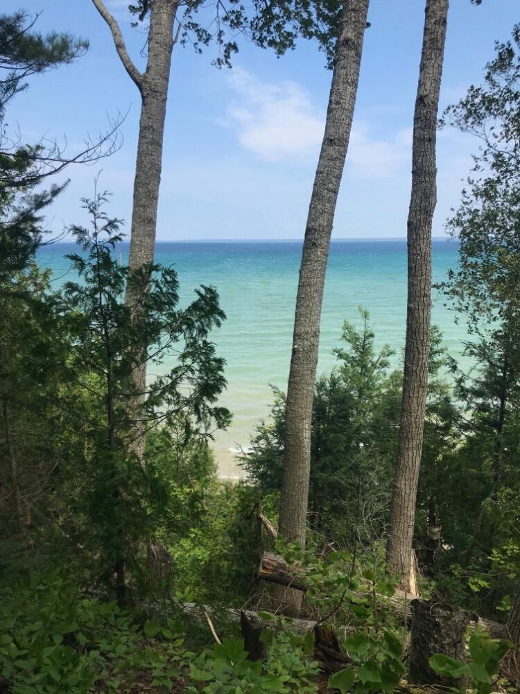 Image 1: View