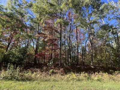 Lot 123 Wyckerly Drive