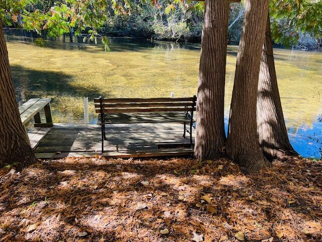 Image 4: 200' Au Sable River