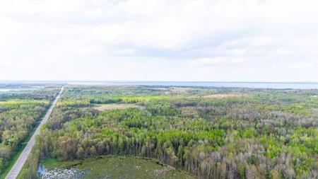 41.85 AC S Harrison Road