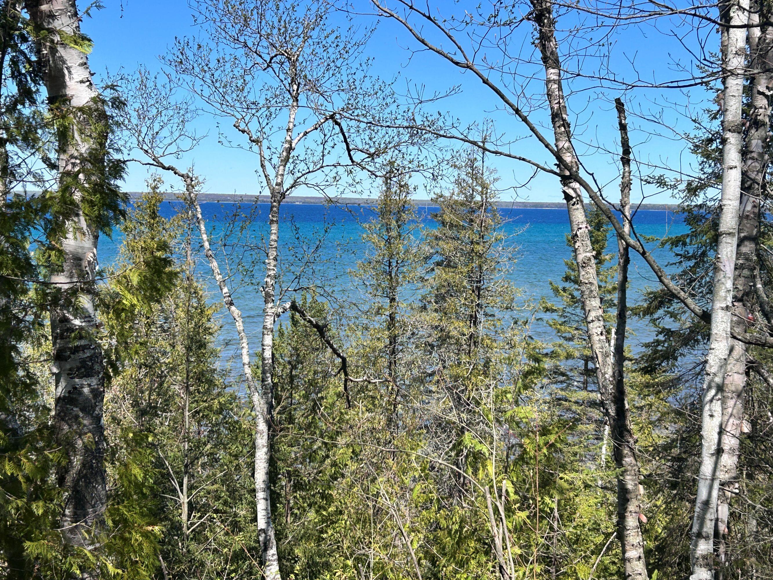 Image 1: Actual View From Bluff