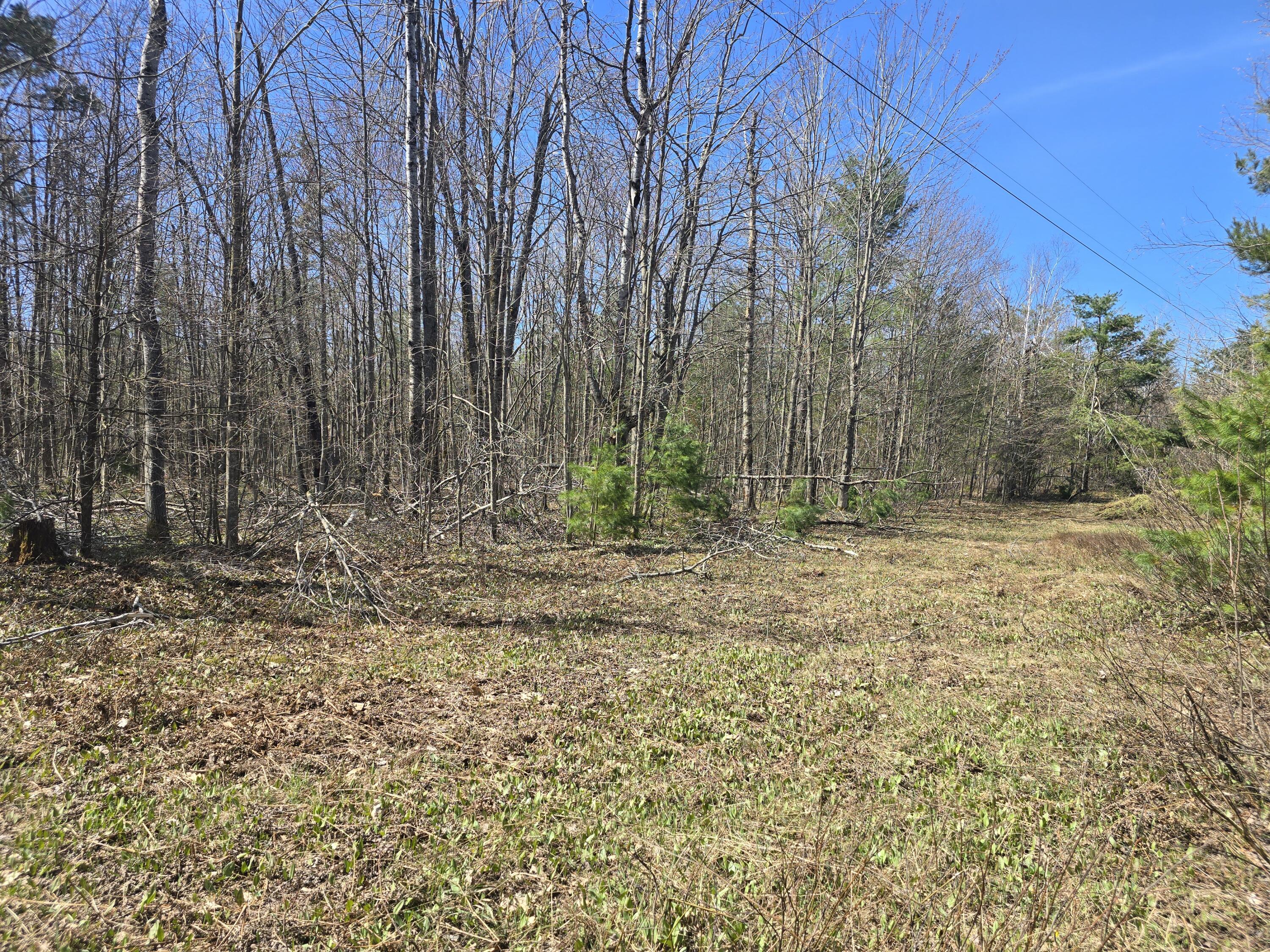 Image 3: 20250509_115124