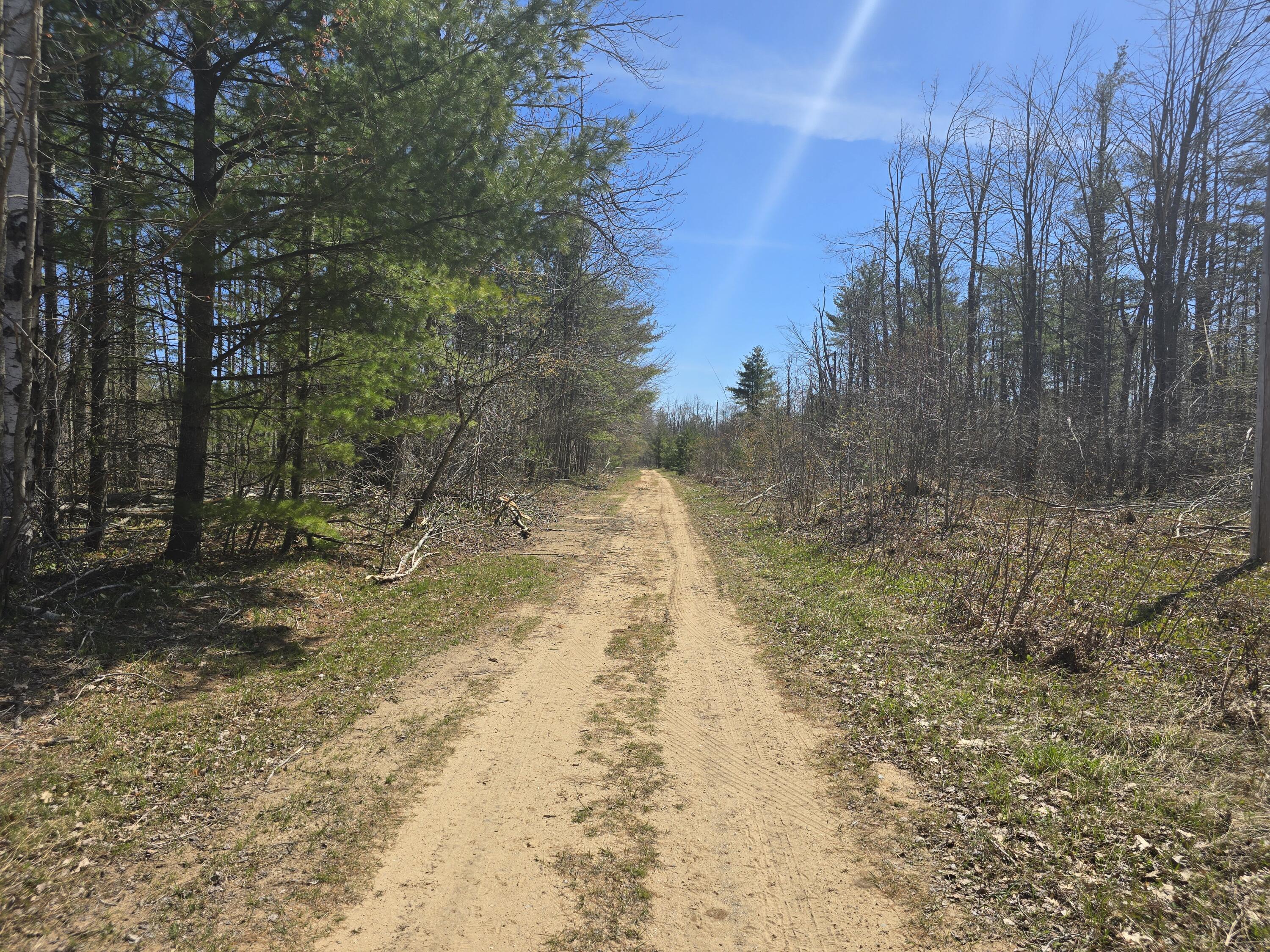 Image 4: 20250509_115114