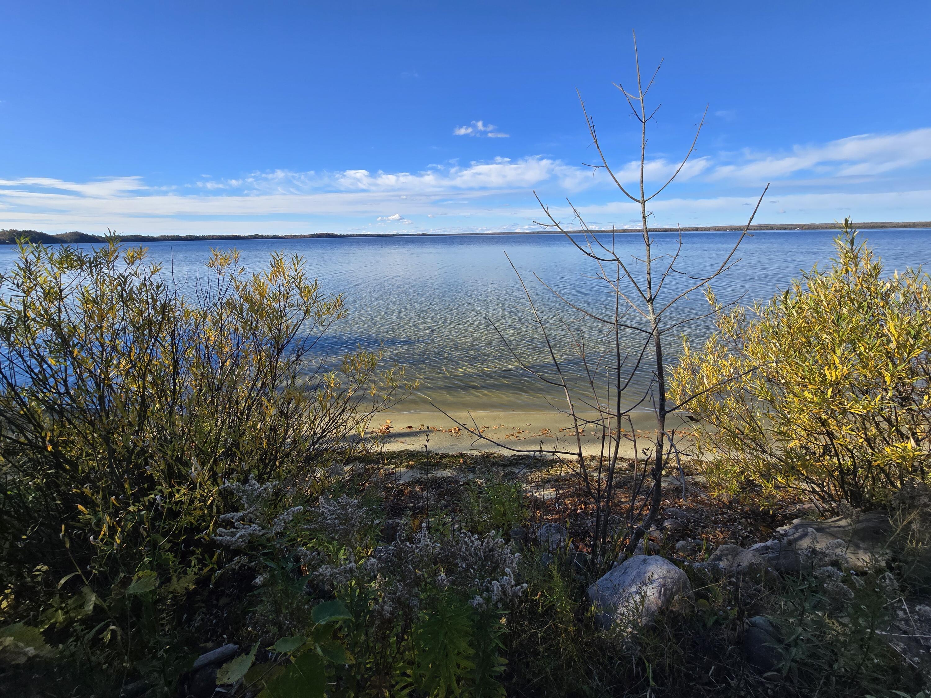 Image 2: Brevort Lake