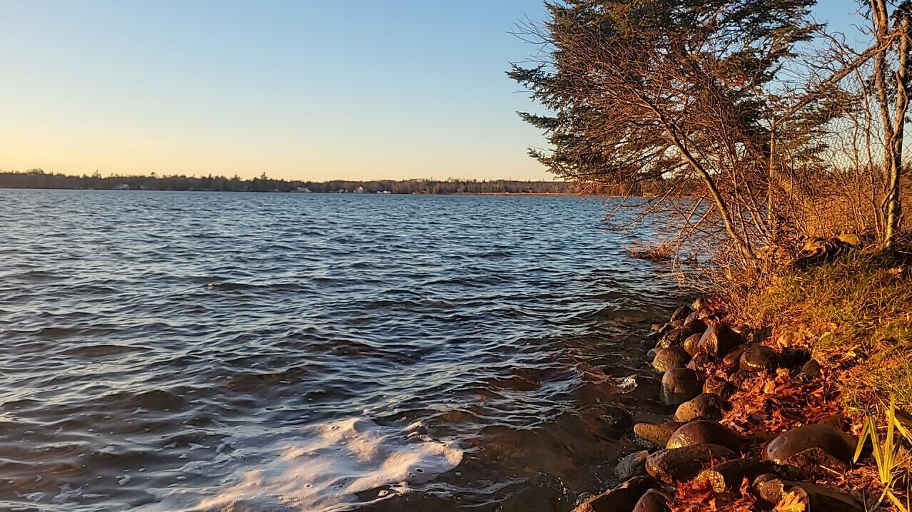 Image 2: 2025-11-13 04-55-28-278