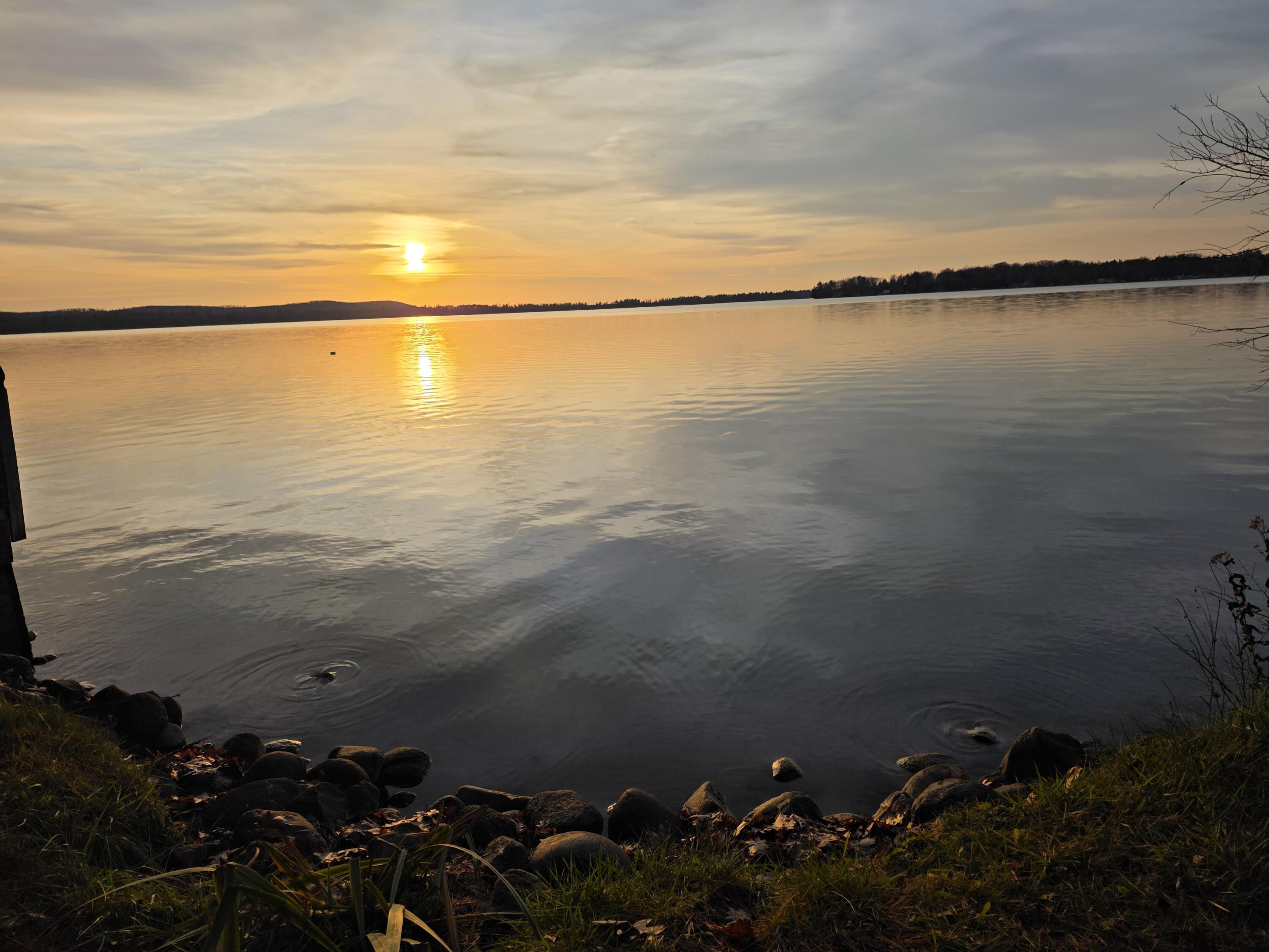 Image 3: 20251114_164426[1]