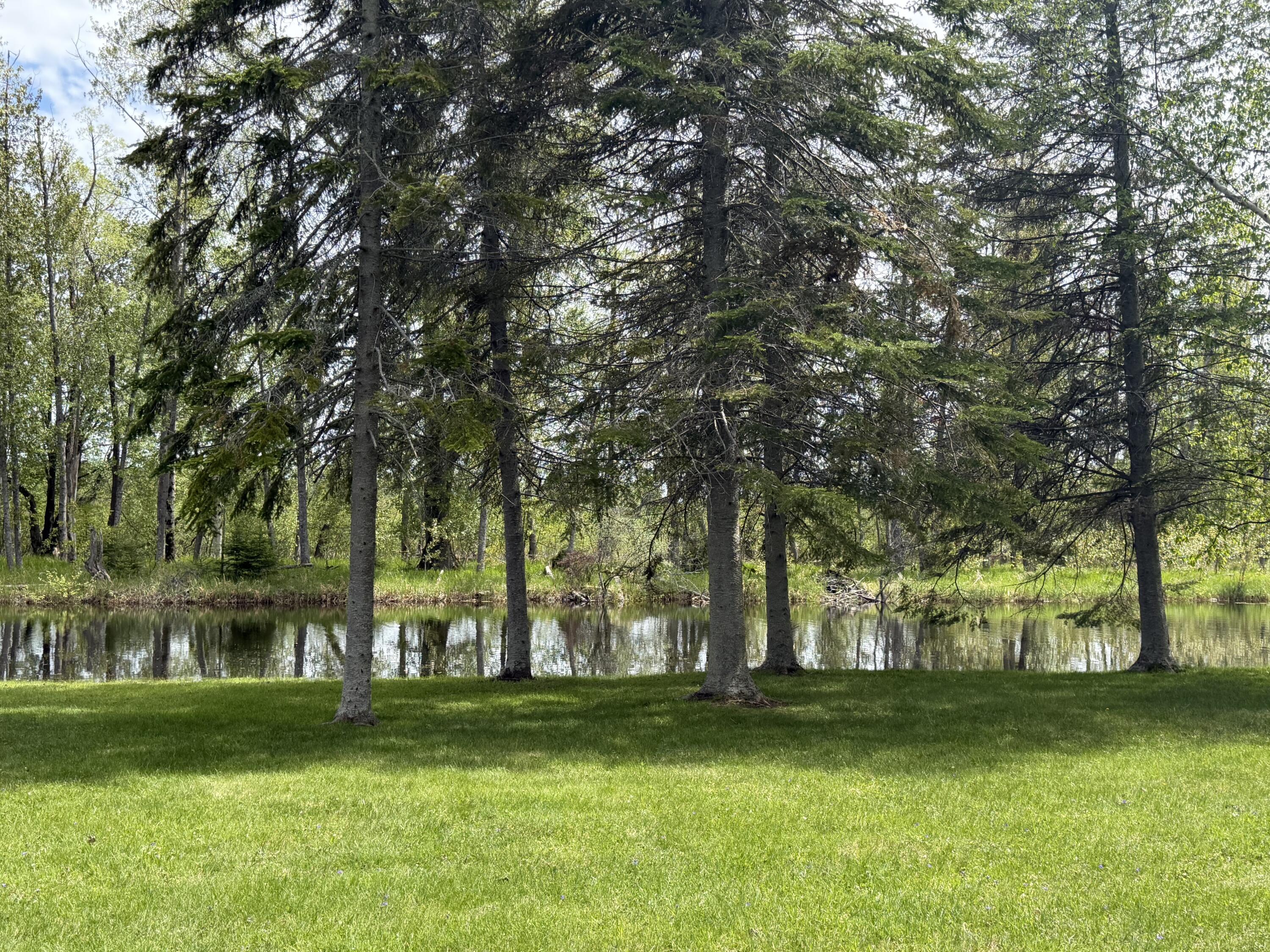 Image 3: image1