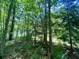Lot 18 Irma Avenue