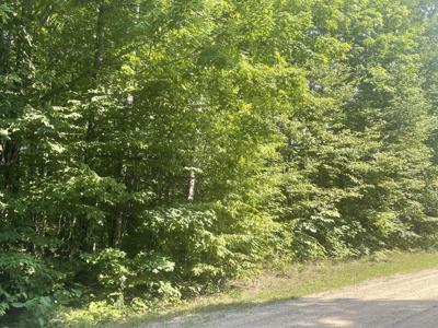 502 Pinetree Drive