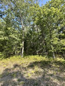 V/L 0.77AC Fantasy Drive