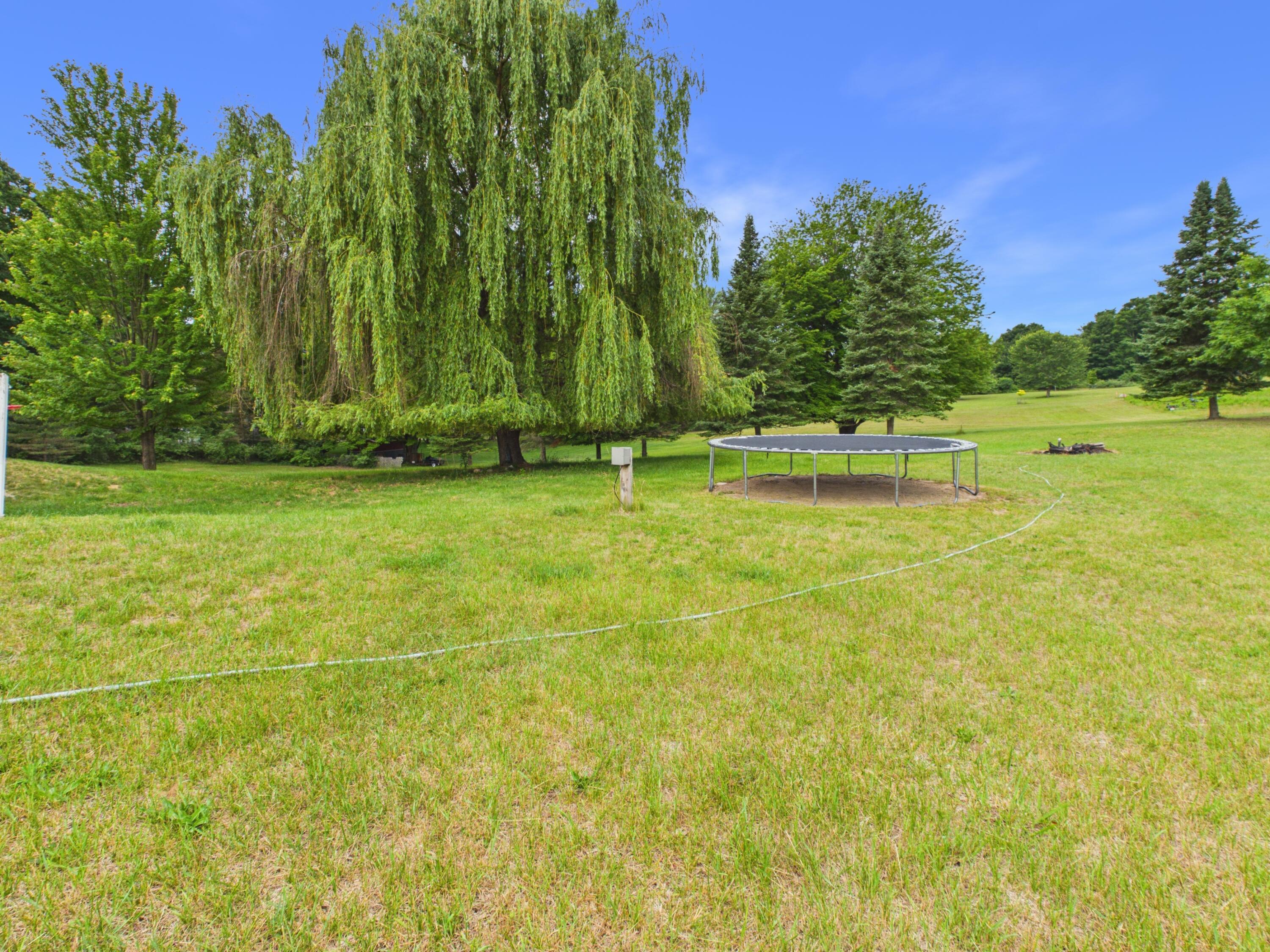 Image 4: back yard