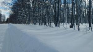 Olds Road