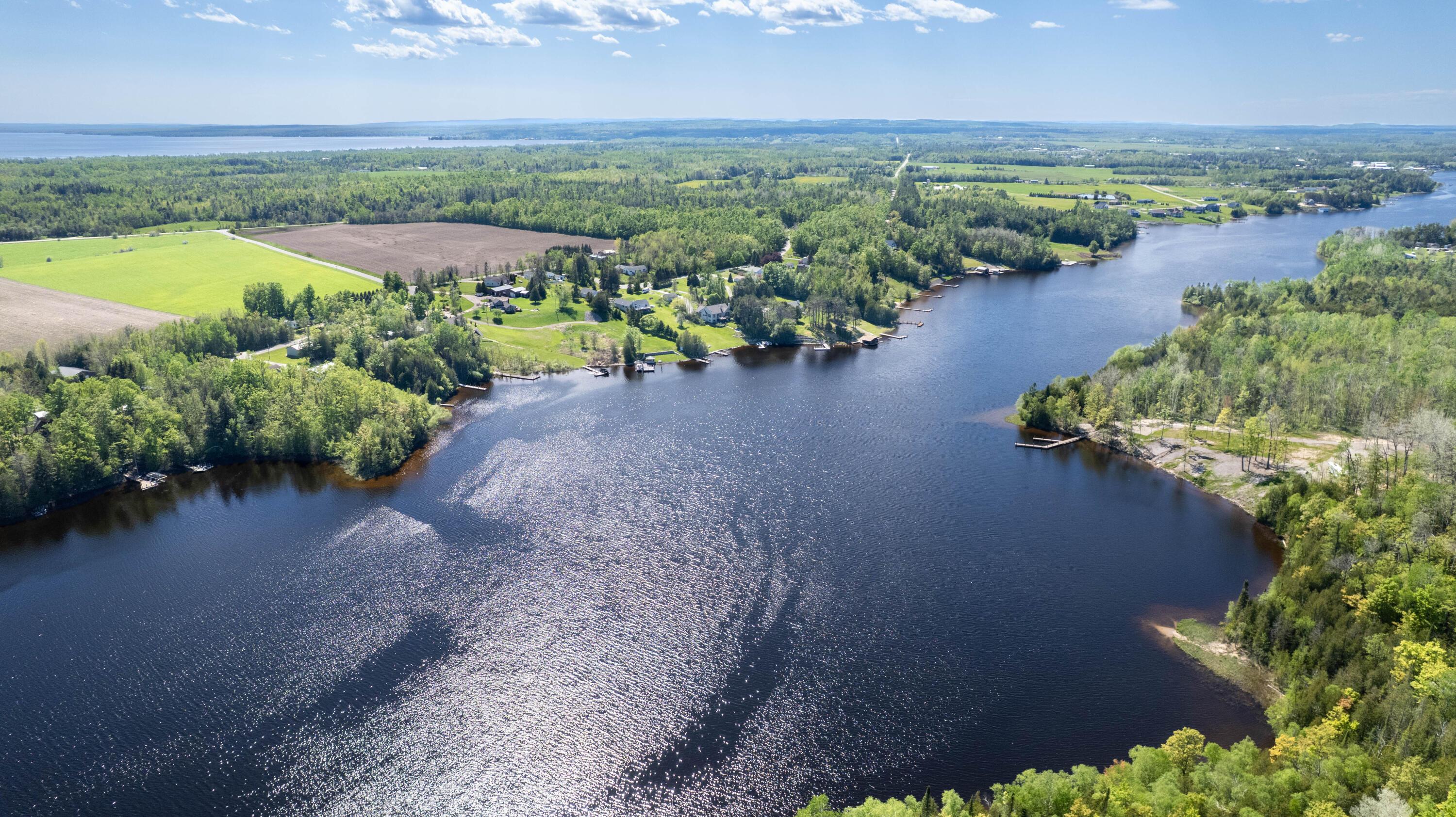 Image 4: DJI_0810