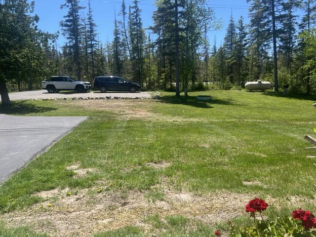 Image 3: Front Yard