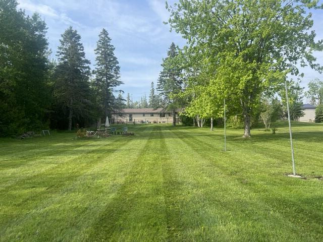 Image 4: Back yard