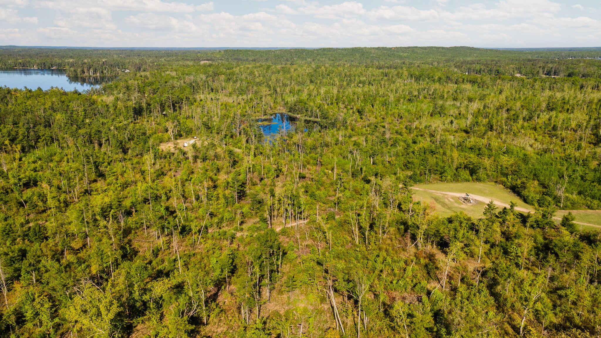 Image 2: 16-web-or-mls-DJI_0183