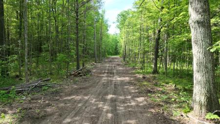 0.98 AC State Street