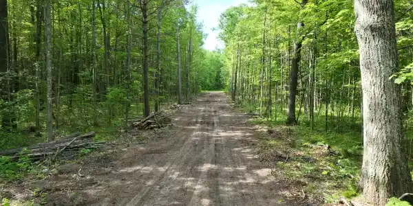 0.98 AC State Street