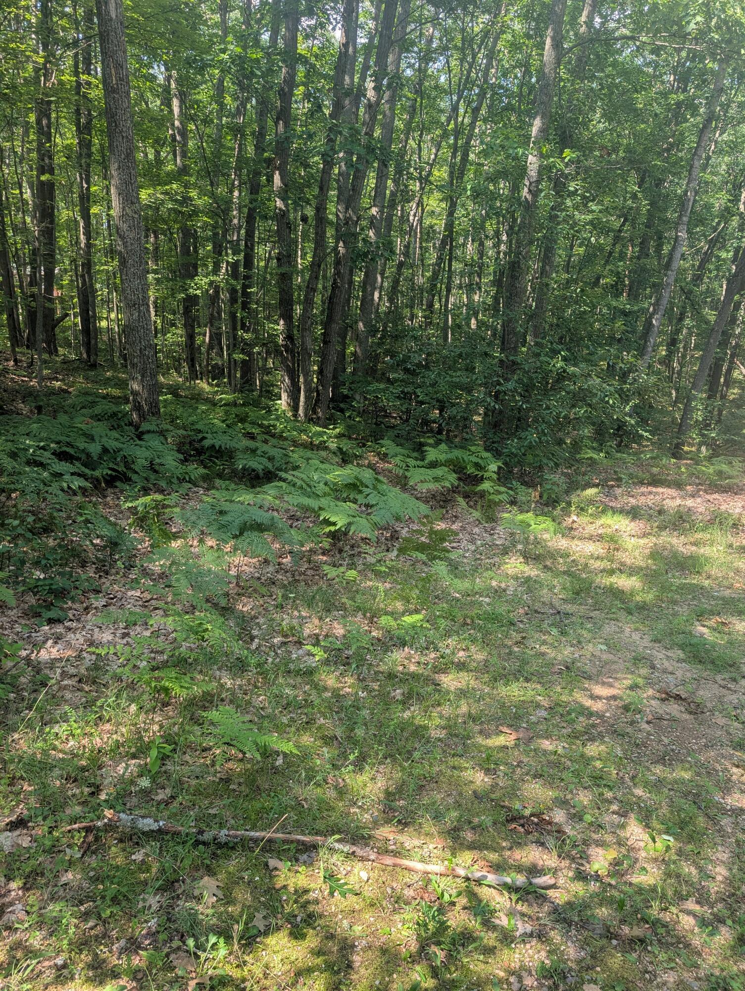 Image 1: PXL_20260728_194409504