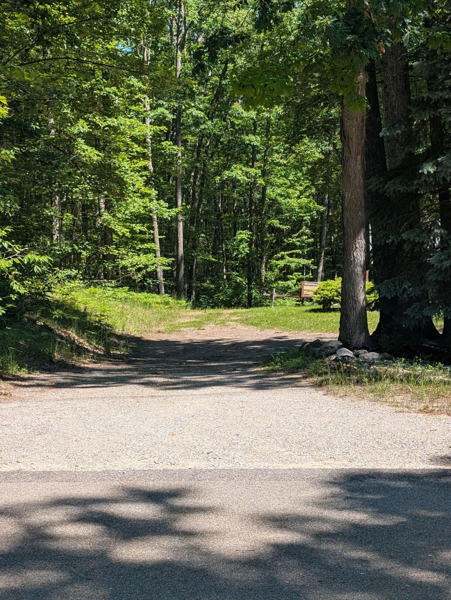 Image 2: df9d9e01-05f8-4e10-b8f6-d117617adfcb