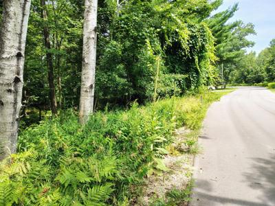 Lot 2 Chippewa Trail