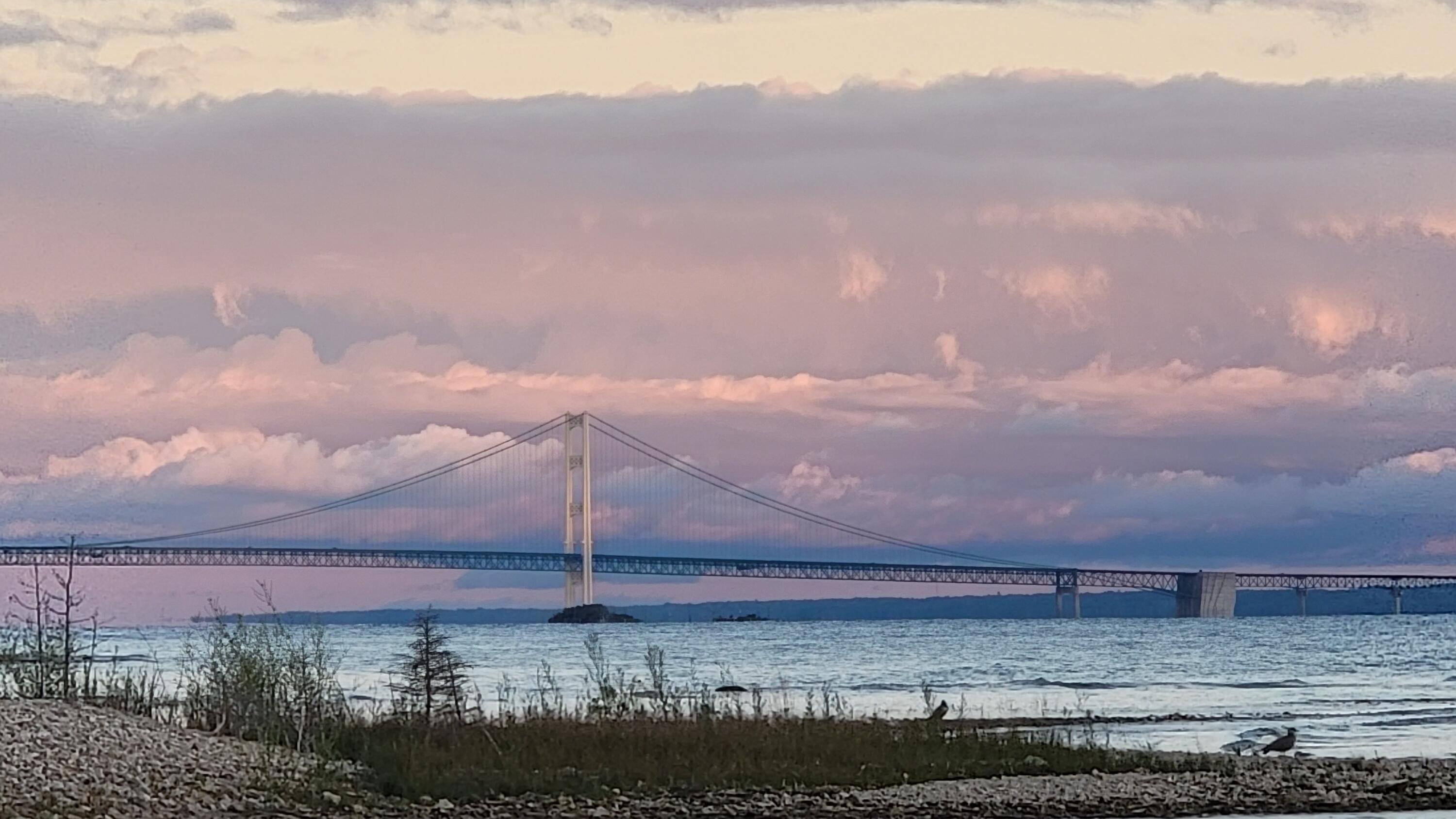Image 4: Mackinac Bridge from the shoreline