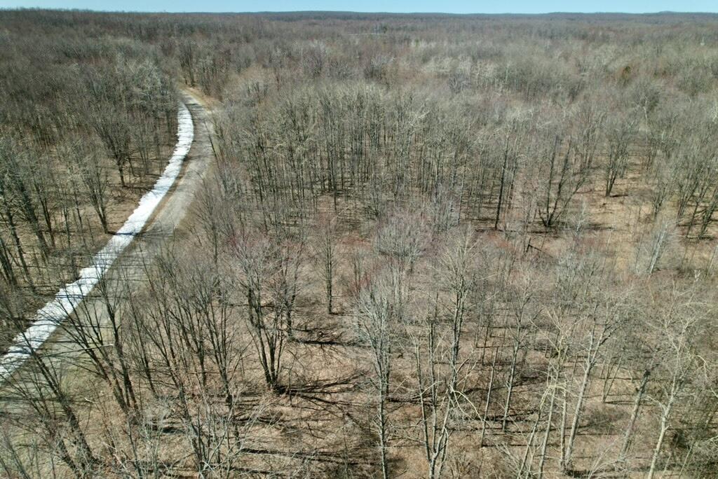 Image 1: 2