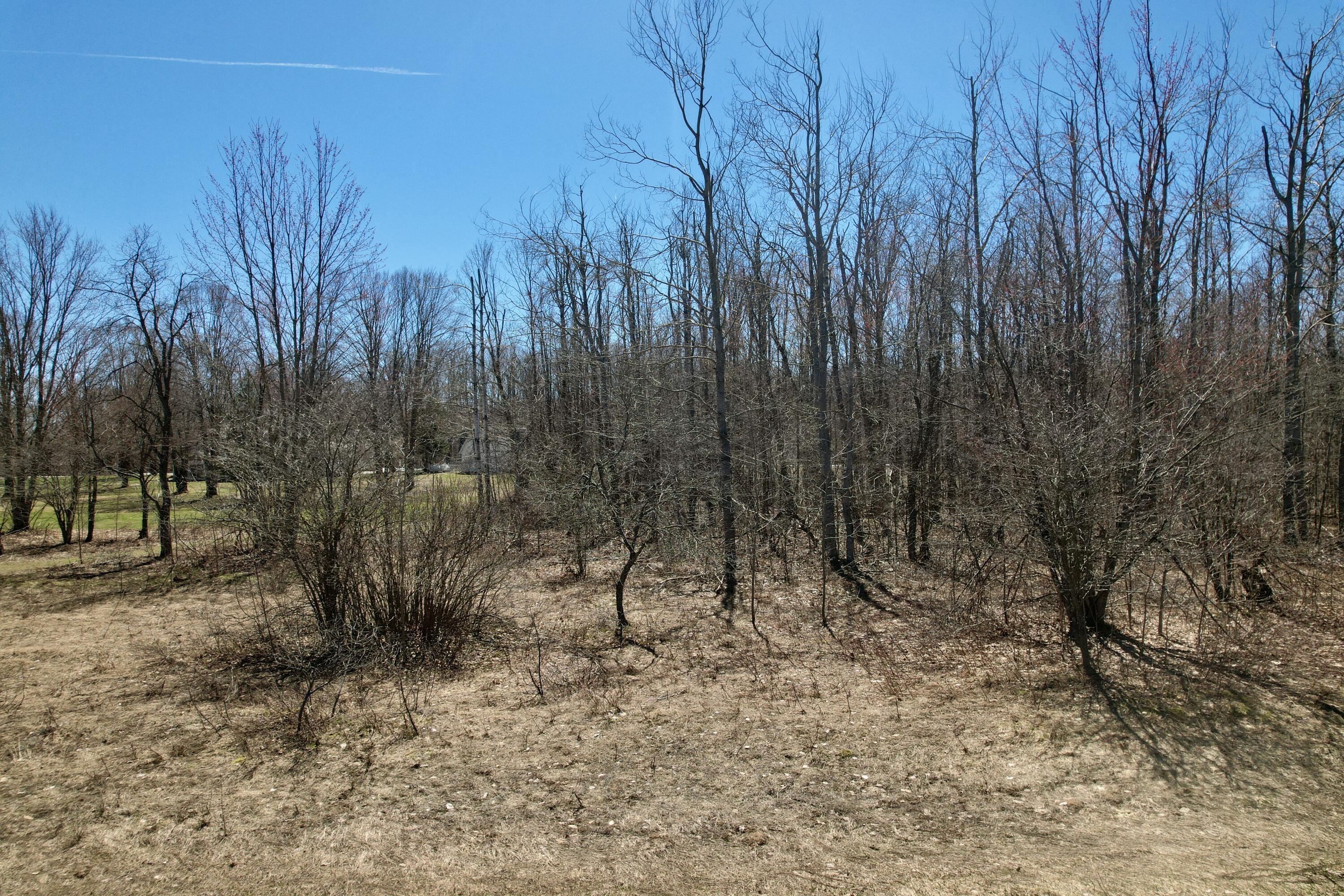 Image 1: main