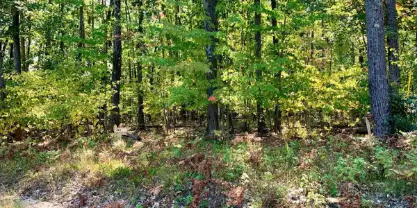 305 Summit Road