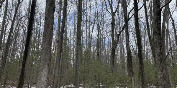 Lot 4 Hillsdale Drive